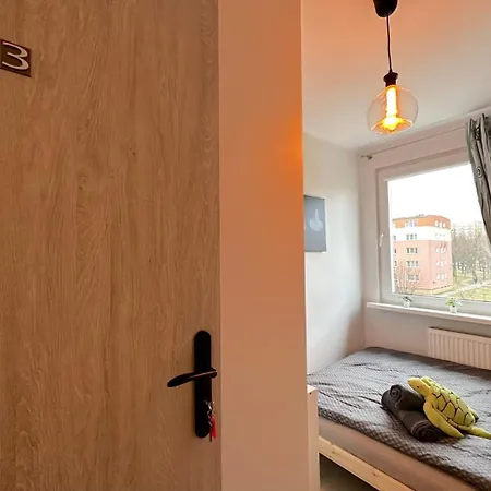 Turtle * Γκντανσκ