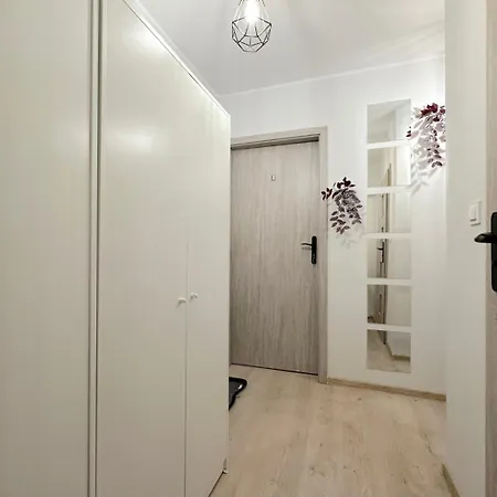 Turtle Гданьск