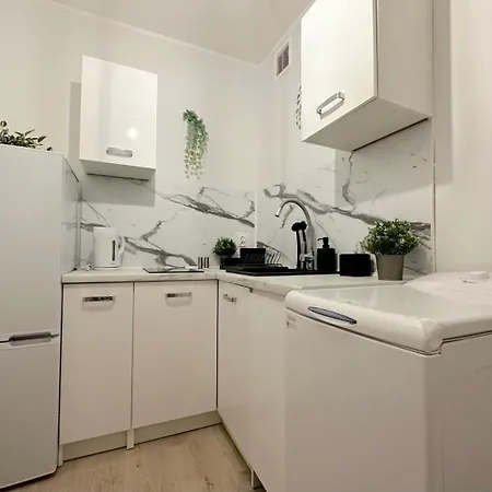 Turtle * 그단스크